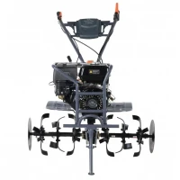 Мотоблок бензиновый VILLARTEC TB 990WF - фото 3